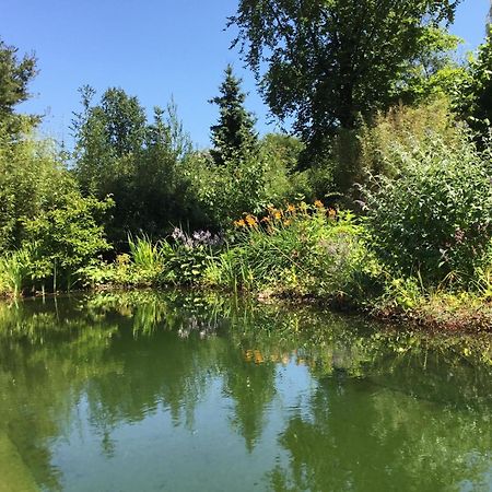 Huisje De Geluksvogel Zorgvlied Εξωτερικό φωτογραφία